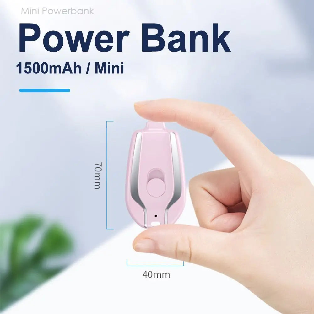 Energo Pro Charger